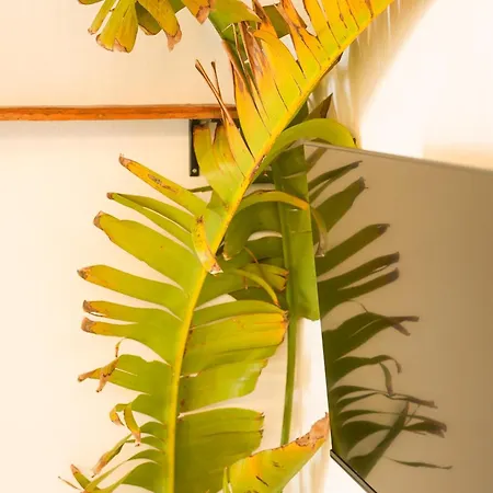 La Paredita Casa Acentejo 別荘