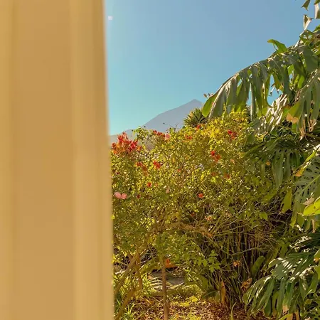 別荘 La Paredita Casa Acentejo