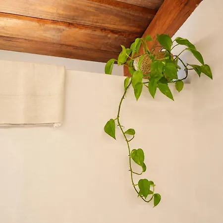 Casa de Férias La Paredita Casa Acentejo