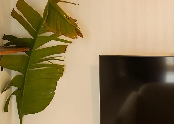 La Paredita Casa Acentejo Holiday home El Tanque