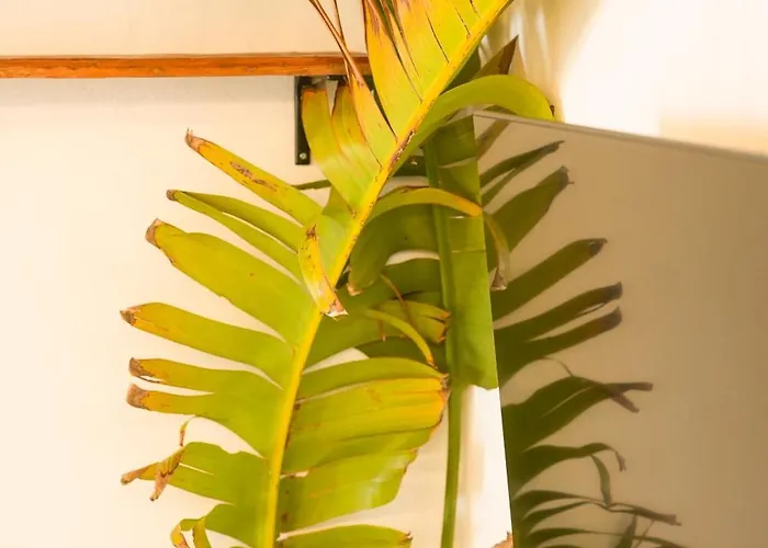 La Paredita Casa Acentejo Holiday home