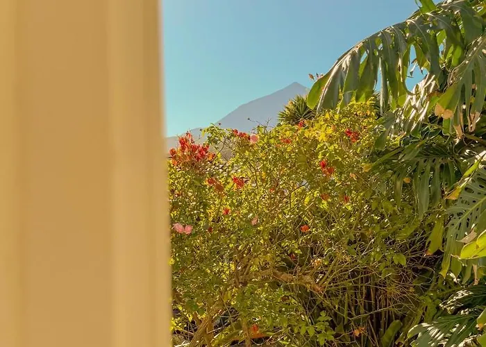 Holiday home La Paredita Casa Acentejo